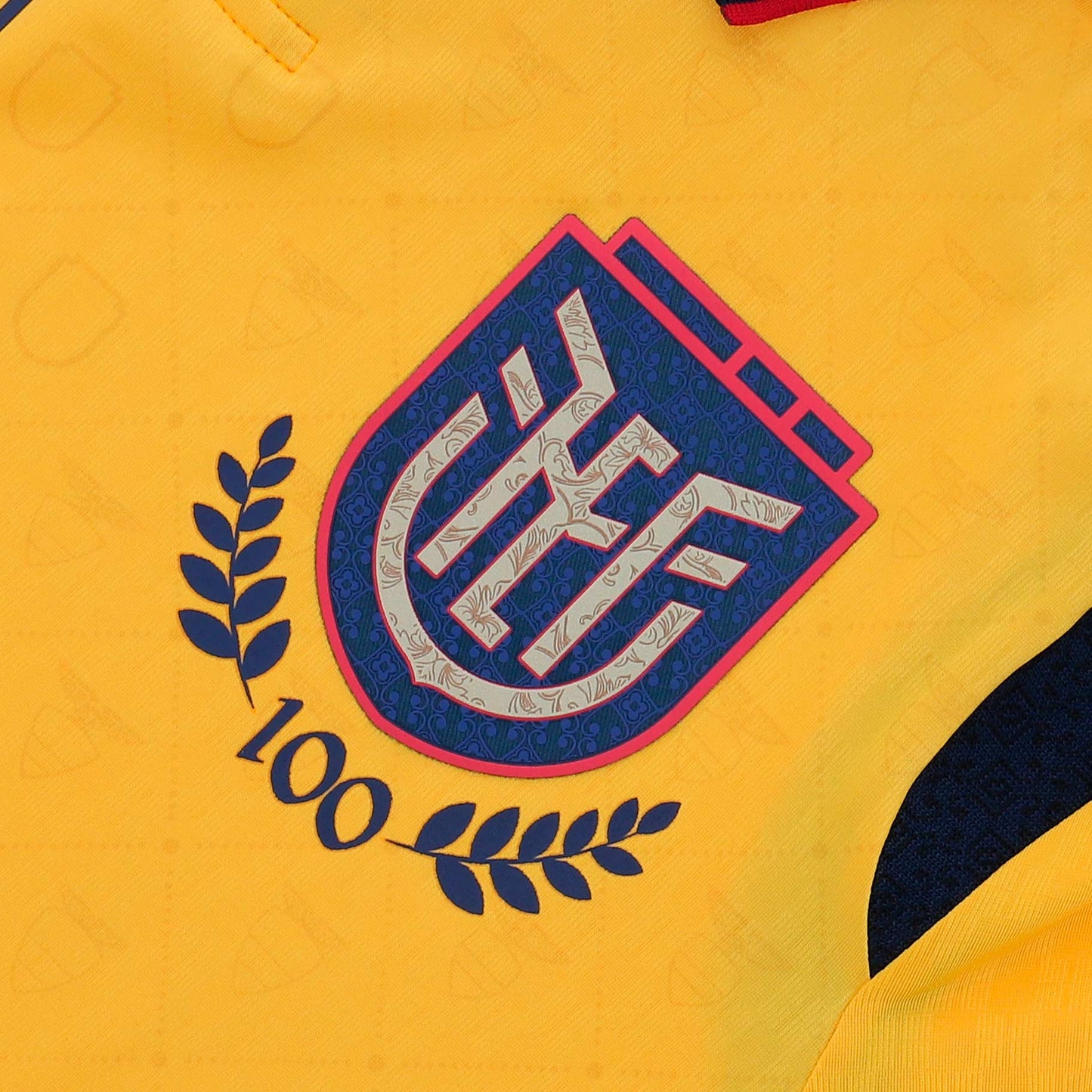 Camiseta Oficial Alterna FEF Centenario 100 Años - Edición Limitada Niño